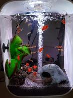 BiorB aquarium, Dieren en Toebehoren, Vissen | Aquaria en Toebehoren, Ophalen of Verzenden, Zo goed als nieuw, Leeg aquarium