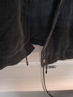 Zara Corduroy Jasje - Maat M, Ophalen of Verzenden, Zo goed als nieuw, Zara