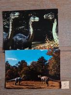 DINOSAURUS 5, Verzamelen, Ansichtkaarten | Dieren, Ophalen, Paard