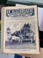 illustratie voor het katholieke huisgezin, Ophalen of Verzenden, 1920 tot 1940, Nederland, Tijdschrift