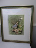 Aquarel, Antiek en Kunst, Kunst | Schilderijen | Klassiek, Ophalen of Verzenden
