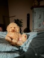 Hondenmaatje gezocht, Dieren en Toebehoren, Overige rassen, 1 tot 2 jaar, Geslacht onbekend, Parvo