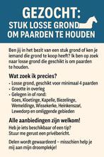 Gezocht: weiland, stal, weide, paarden stal, Dieren en Toebehoren, Stalling en Weidegang