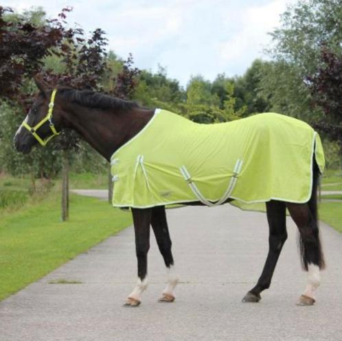 Nieuwe Vliegendekens merk QHP kleur lime, sky of Fuchsia, Dieren en Toebehoren, Paarden en Pony's | Dekens en Dekjes, Nieuw, Deken