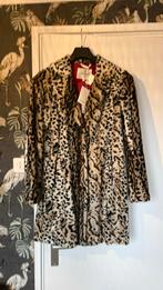 Beamount Winterjas nw 42, Kleding | Dames, Beaumont, Ophalen of Verzenden, Nieuw, Maat 42/44 (L)