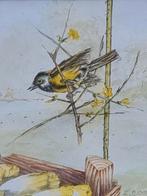 Ton de Jong 2000 aquarel pimpelmees met lof, Ophalen, Minder dan 50 cm, Gebruikt, Minder dan 50 cm
