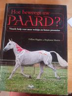 Gillian Higgins - Hoe beweegt uw paard?, Boeken, Ophalen of Verzenden, Zo goed als nieuw, Gillian Higgins, Paarden of Pony's