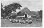 Texel Texelsche Boerderij., Ophalen of Verzenden, 1920 tot 1940, Gelopen, Waddeneilanden