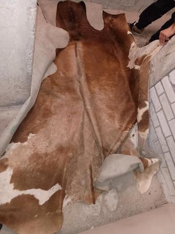 Grote Koeienhuid - 2x2 Meter beschikbaar voor biedingen