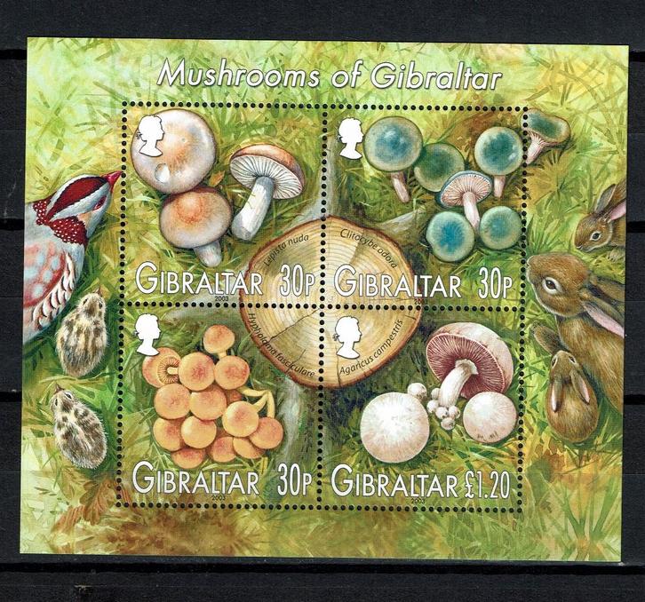 GIBRALTAR 2003 PF BLOK PADDENSTOELEN VOGELS KONIJNEN, Postzegels en Munten, Postzegels | Thematische zegels, Postfris, Dier of Natuur