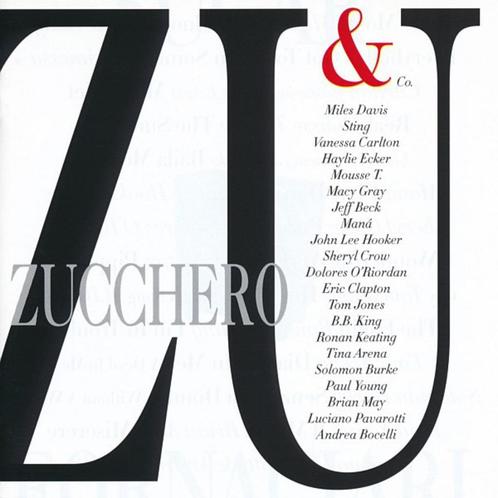 Zucchero Fornaciari - Zucchero & Co (CD, 2004), Cd's en Dvd's, Cd's | Pop, 2000 tot heden, Ophalen