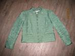 Annie P groene jas maat 42, Maat 42/44 (L), Ophalen of Verzenden, Gedragen, Annie P
