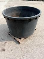 1000 liter kuip, Ophalen, Rond, Kunststof, 60 cm of meer