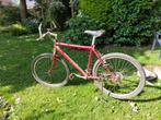 Rayleigh mountainbike heren, Fietsen en Brommers, Hardtail, Ophalen, Gebruikt, Overige merken