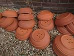 Broedschalen duiven terracotta kwartels duiven kip pluimvee, Overige soorten