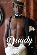 boek gay interest Get seduced by Dandy – Wim de Roo, Verzenden, Zo goed als nieuw, Fotografen