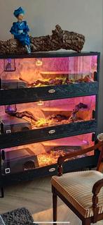 Osb3 terrarium RepHouSZ. Ook e, Ophalen, Zo goed als nieuw, Terrarium of Paludarium