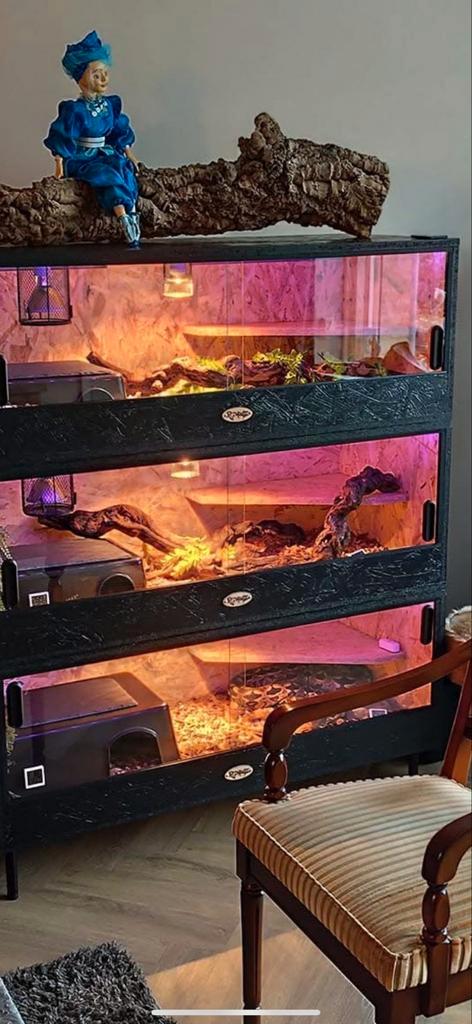 Osb3 terrarium RepHouSZ. Ook e, Dieren en Toebehoren, Reptielen en Amfibieën | Toebehoren, Zo goed als nieuw, Terrarium of Paludarium