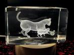 Kristallen 3D Glasblok Katten - Laser Gravure, Ophalen of Verzenden