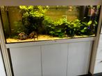 Juwel Rio 450 compleet met kast en Helialux verlichting, Dieren en Toebehoren, Vissen | Aquaria en Toebehoren, Ophalen, Zo goed als nieuw