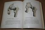 Handatlas Anatomie 1 — Oude uitg.1921 — Rijk geïllustreerd, Boeken, Ophalen of Verzenden, Gelezen, Natuurwetenschap