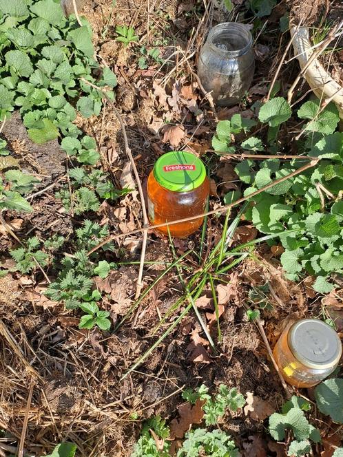 Gratis Slakken vangen met potje bier,ordje,schaaltje,blikje, Tuin en Terras, Bestrijdingsmiddelen, Ophalen