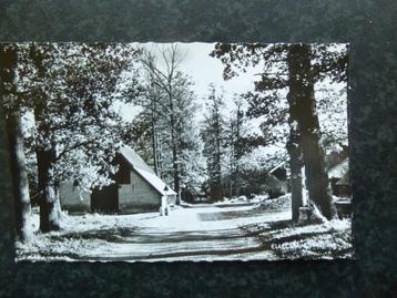 ELLECOM  Vakantieoord Ellekom  1966      F beschikbaar voor biedingen