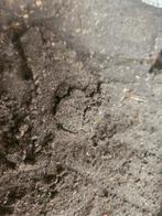 Zwarte grond voor ophogen van tuin of vullen plantenbak., Ophalen, Tuinaarde