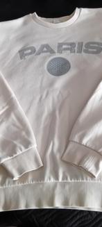 Leuke trui XL van Daily Aesthetikz, Kleding | Heren, Truien en Vesten, Beige, Maat 56/58 (XL), Ophalen of Verzenden, Daily aesthetikz