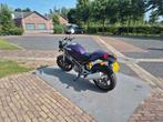 ducati monster 620