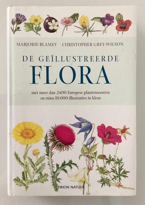 De geïllustreerde flora - Marjorie Blamey, Boeken, Natuur, Bloemen, Planten en Bomen, Ophalen