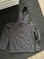 Capuchonvest Maat M, Ophalen of Verzenden, Zo goed als nieuw, Grijs