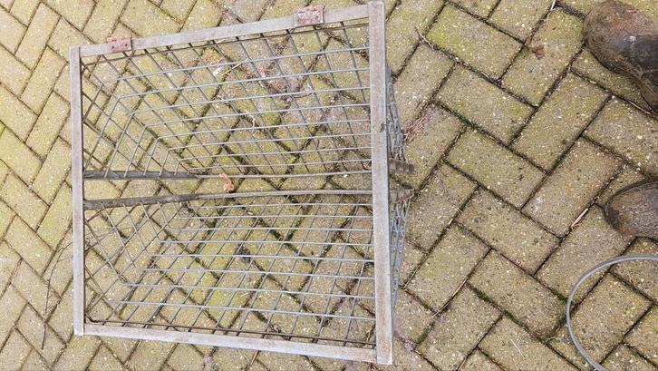 Hooiruif, emmer beugels, Dieren en Toebehoren, Schapen, Geiten en Varkens, Schaap, Meerdere dieren