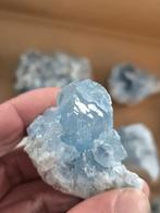 Celestien partij/lot/verzameling/collectie, Verzamelen, Mineralen en Fossielen, Ophalen of Verzenden, Mineraal