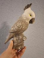 Stenen kaketoe beeld, Ophalen of Verzenden, Zo goed als nieuw, Dier