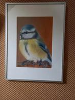 Pasteltekening pimpelmees vogel, Antiek en Kunst, Ophalen of Verzenden
