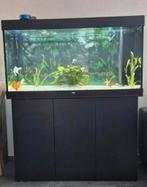 Juwel Rio 350 met kast, Ophalen, Zo goed als nieuw, Gevuld zoetwateraquarium