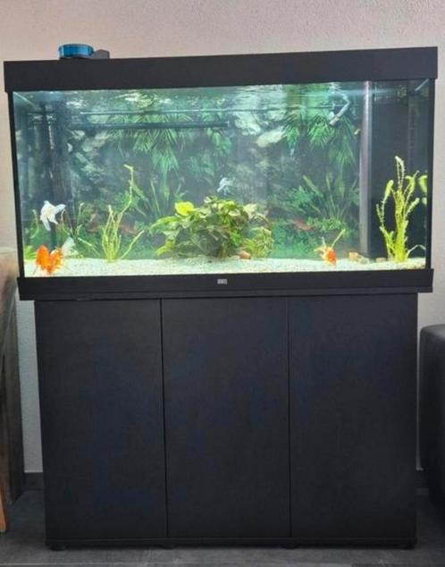 Juwel Rio 350 met kast, Dieren en Toebehoren, Vissen | Aquaria en Toebehoren, Zo goed als nieuw, Gevuld zoetwateraquarium, Ophalen
