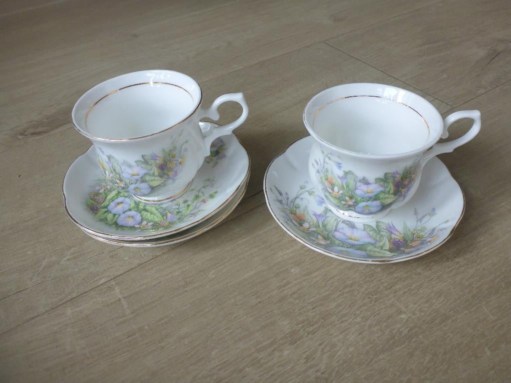 2 kop en schotels, cambridge garden., Ophalen of Verzenden, Zo goed als nieuw, Overige stijlen, Kop(pen) en/of Schotel(s)