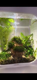 BiOrb Life 30 liter wit, Ophalen of Verzenden, Zo goed als nieuw, Leeg aquarium