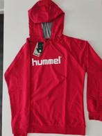 Hummel Trui met Hoodie Dames [Nieuw], Nieuw, Ophalen of Verzenden, Maat 46/48 (XL) of groter, Rood