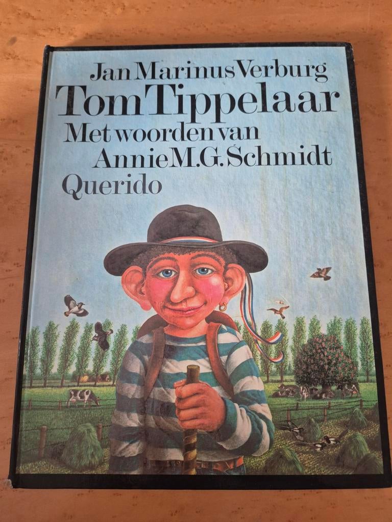 Tom Tippelaar - Jan Marinus Verburg, Boeken, Ophalen of Verzenden, Gelezen, Jan Marinus Verburg, Fictie algemeen