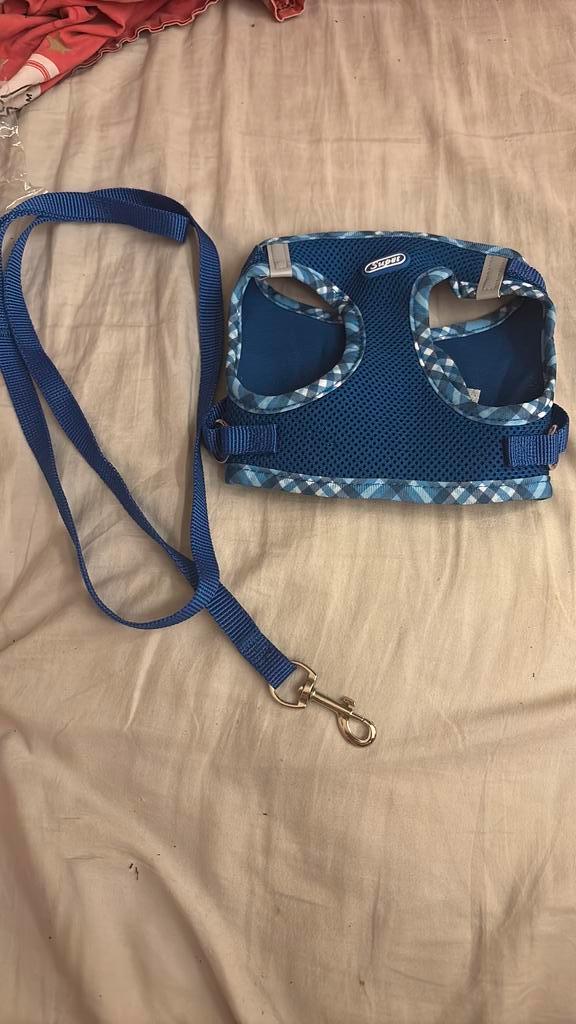 4 Honden tuigjes, Dieren en Toebehoren, Honden-accessoires, Nieuw, Ophalen