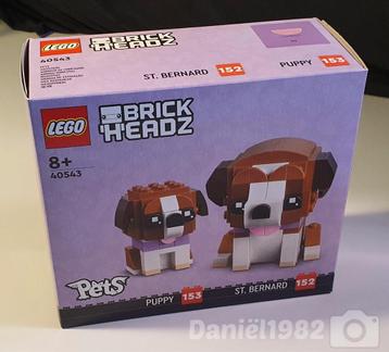 LEGO St. Bernard & Puppy -40543- (NIEUW) beschikbaar voor biedingen