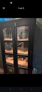 Mooie cavia hok, flat, Dieren en Toebehoren, Ophalen, 110 cm of meer, 90 cm of meer, Hok