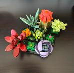 Lego botanicals vetplanten 10309, Kinderen en Baby's, Speelgoed | Duplo en Lego, Ophalen of Verzenden, Zo goed als nieuw