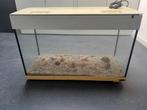 Aquarium, Dieren en Toebehoren, Vissen | Aquaria en Toebehoren, Ophalen, Gebruikt, Leeg aquarium