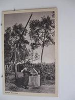 8851 Brabants Dorpsleven, is gaauw 'n emmerke putte, Verzenden