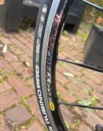 Focus Izalco Racefiets - 61cm - Carbon, 28 inch, Gebruikt, Carbon, Heren