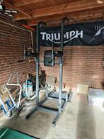 PowerMark 362 Power Tower, Sport en Fitness, Fitnessmaterialen, Ophalen, Zo goed als nieuw, Rug, Overige typen